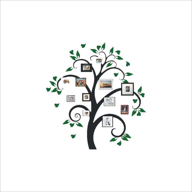 Khatwal Enterprises 50 cm photo frame tree wall sticker (pvc vinyl covering area 58CM x 58CM ) Self Adhesive Sticker  (Pack of 1)