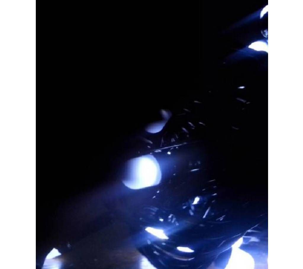 Christmas LED lights