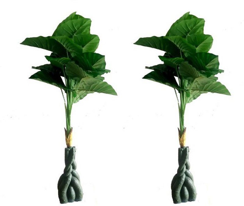 Green Plant indoor Moneyplant004 Bonsai Artificial Plant with Pot  (100 cm, Green)