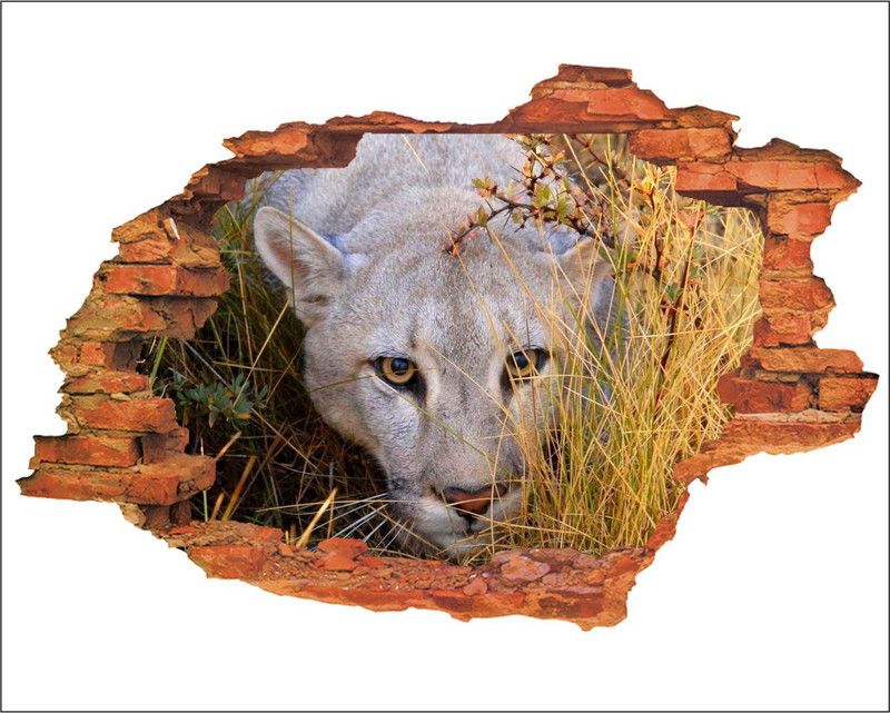 Jagvii 90 cm Jackal in the wall hole Self Adhesive Sticker  (Pack of 1)