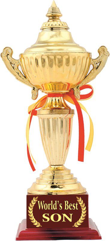 AARK INDIA AWARD : BEST SON GIFT : TROPHY (PC 00459) Trophy  (11.5 Inches)