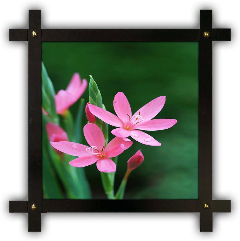 Poster N Frames Cross Wooden Frame Hand-Crafted with photo of Flower (floral) 25398-crossframe Digital Reprint 16.5 inch x 16.5 inch Painting  (With Frame)
