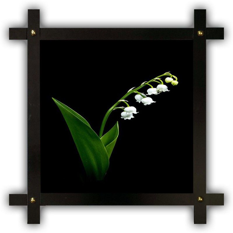Poster N Frames Cross Wooden Frame Hand-Crafted with photo of Flower (floral) 25455-crossframe Digital Reprint 16.5 inch x 16.5 inch Painting  (With Frame)
