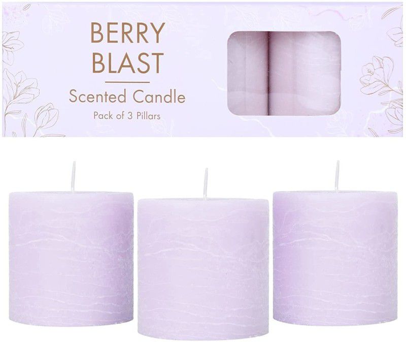 Parkash Candles Set of 3 Scented Pillar Candles , (Berry Blast) Candle  (Purple, Pack of 3)