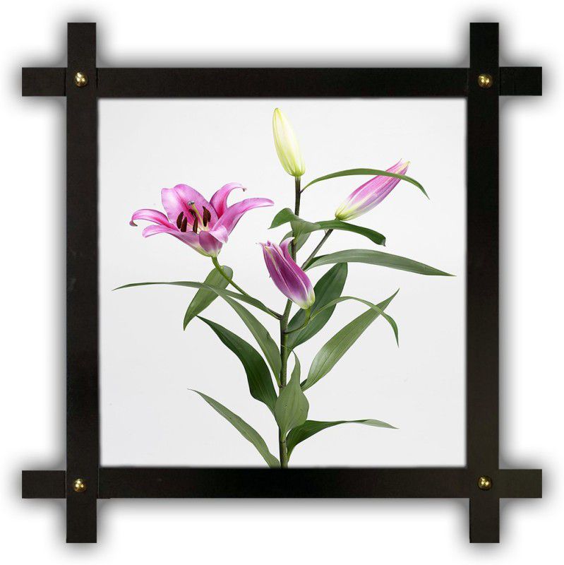 Poster N Frames Cross Wooden Frame Hand-Crafted with photo of Flower (floral) 25397-crossframe Digital Reprint 16.5 inch x 16.5 inch Painting  (With Frame)