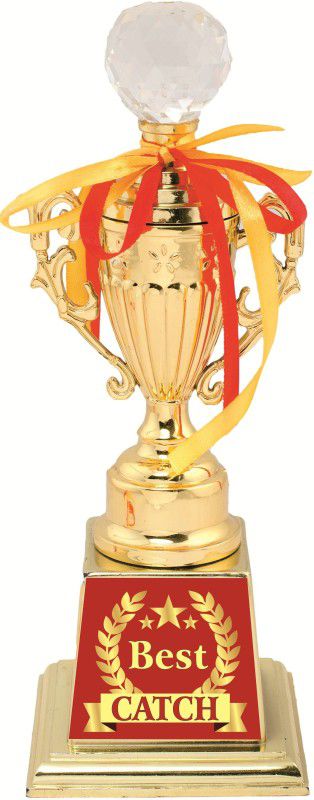 AARK INDIA CRICKET BEST CATCH TROPHY:AWARD:GIFT (PC 00395) Trophy  (11)