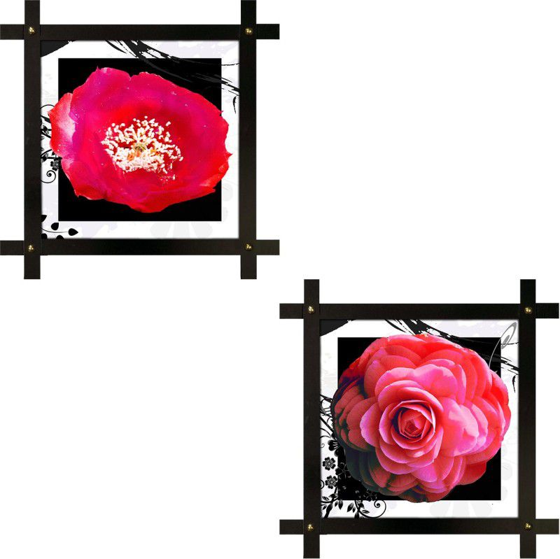 Poster N Frames photo of Flower Digital Reprint 16.5 inch x 16.5 inch Painting  (With Frame, Pack of 2)