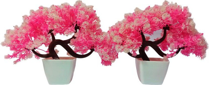 Maadurga ayurved bhander Bonsai chhora Artificial Plant for home & office decor (Pack of 2) (25 cm,pink) Bonsai Wild Artificial Plant with Pot  (25 cm, Pink)