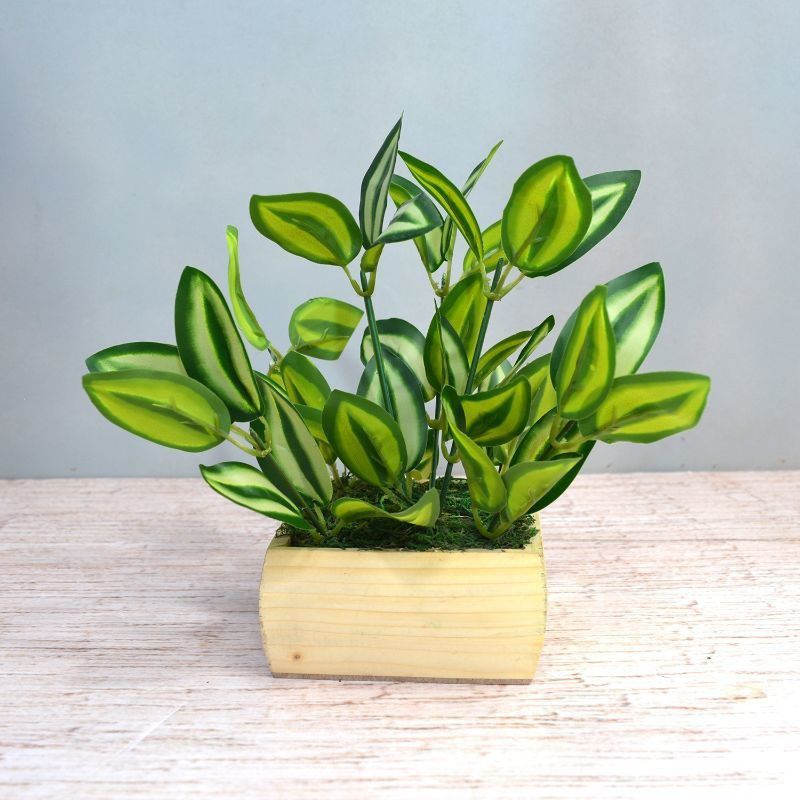 DecoreBugs Artificial Plant Leaves in Square Wood Pot Wild Artificial Plant with Pot  (28 cm, Green)