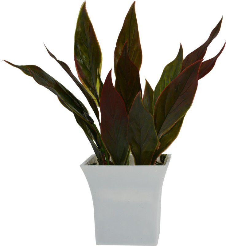 fancymart Artificial plant lilly leaves with pot Wild Artificial Plant with Pot  (26 cm, Red)