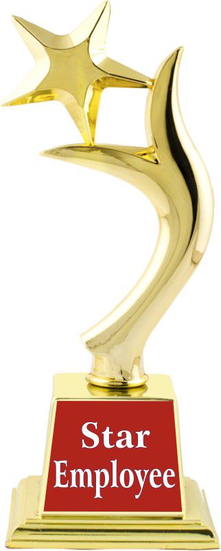 AARK INDIA STAR EMPLOYEE TROPHY/AWARD/GIFT(PC 00349) Trophy  (11 inch)