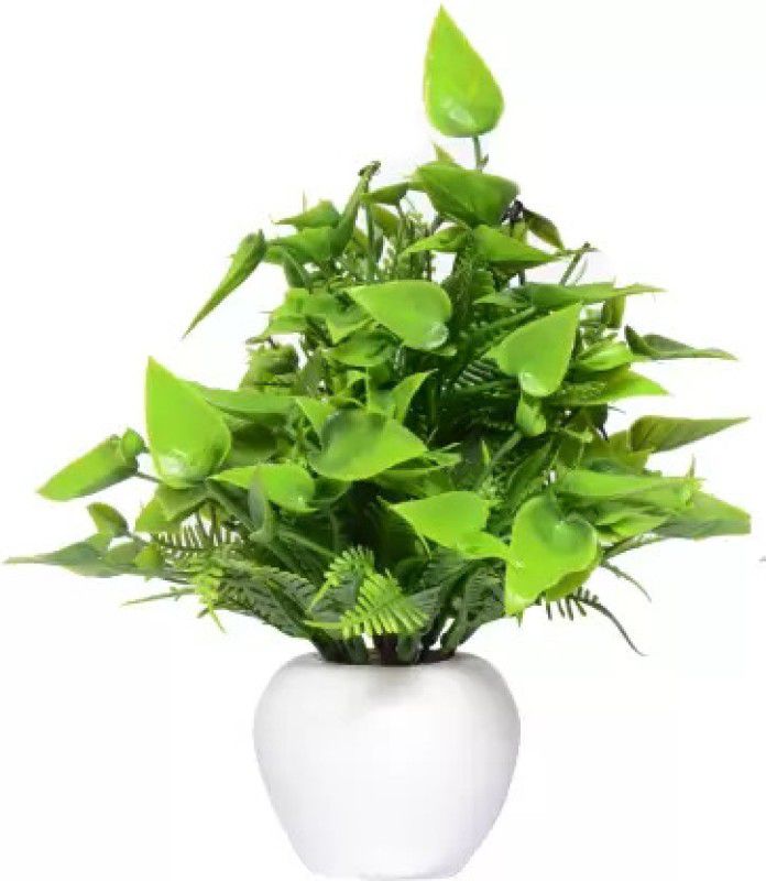 KAYKON Artificial Bonsai Plant Anthurium Green Leaves for Home Decor - 6 inch Bonsai Wild Artificial Plant with Pot  (15 cm, Green)