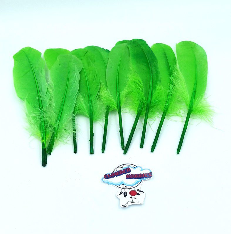 CLOUDED HOBBIES Pack of 20 Decorative Feathers  (15 CM LONG HARD Synthetic Material)