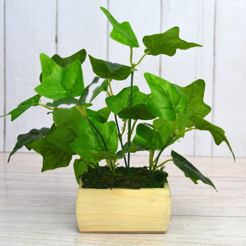 DecoreBugs Artificial Angoor Patta in Pot Wild Artificial Plant with Pot  (28 cm, Green)
