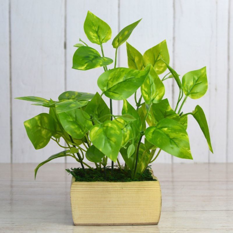 DecoreBugs Artificial Money Plant leaves in Pot Artificial Plant with Pot  (28 cm, Green)