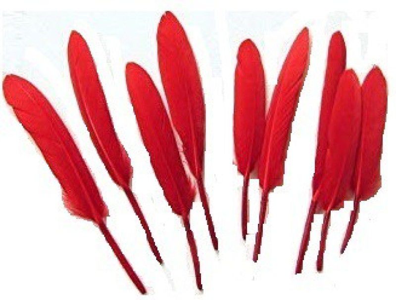 MOREL Pack of 10 Decorative Feathers  (7 Synthetic Material)