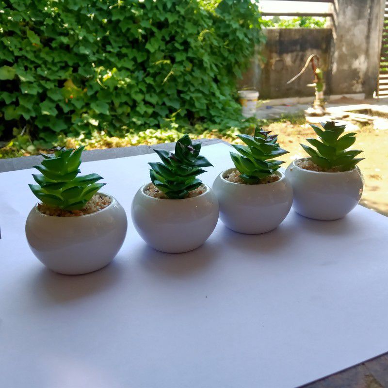 Hyperboles 4 Artificial Cactus Aloe Vera Bonsai Plant With Ceramic Potted Pot Tree - 8 cm Bonsai Artificial Plant with Pot  (8 cm, Green)