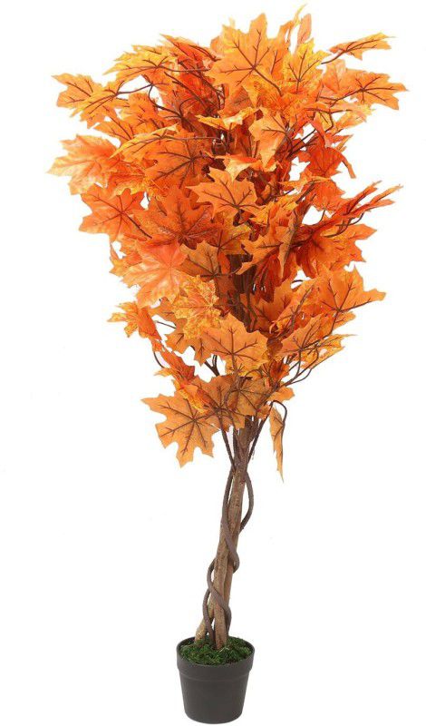 @Home by nilkamal Maple Artificial Tree Artificial Plant with Pot  (135 cm, Orange)