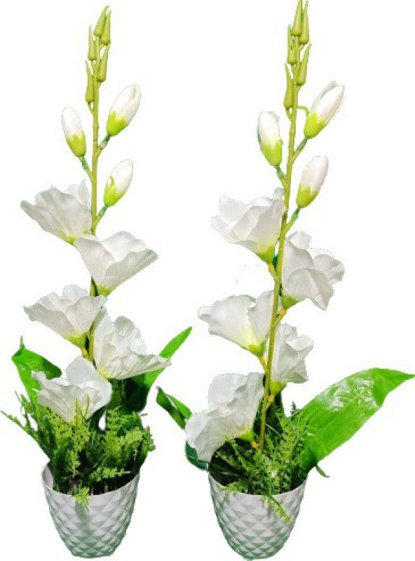 GLIDE WITH POT Bonsai Wild Artificial Plant with Pot  (40 cm, White)