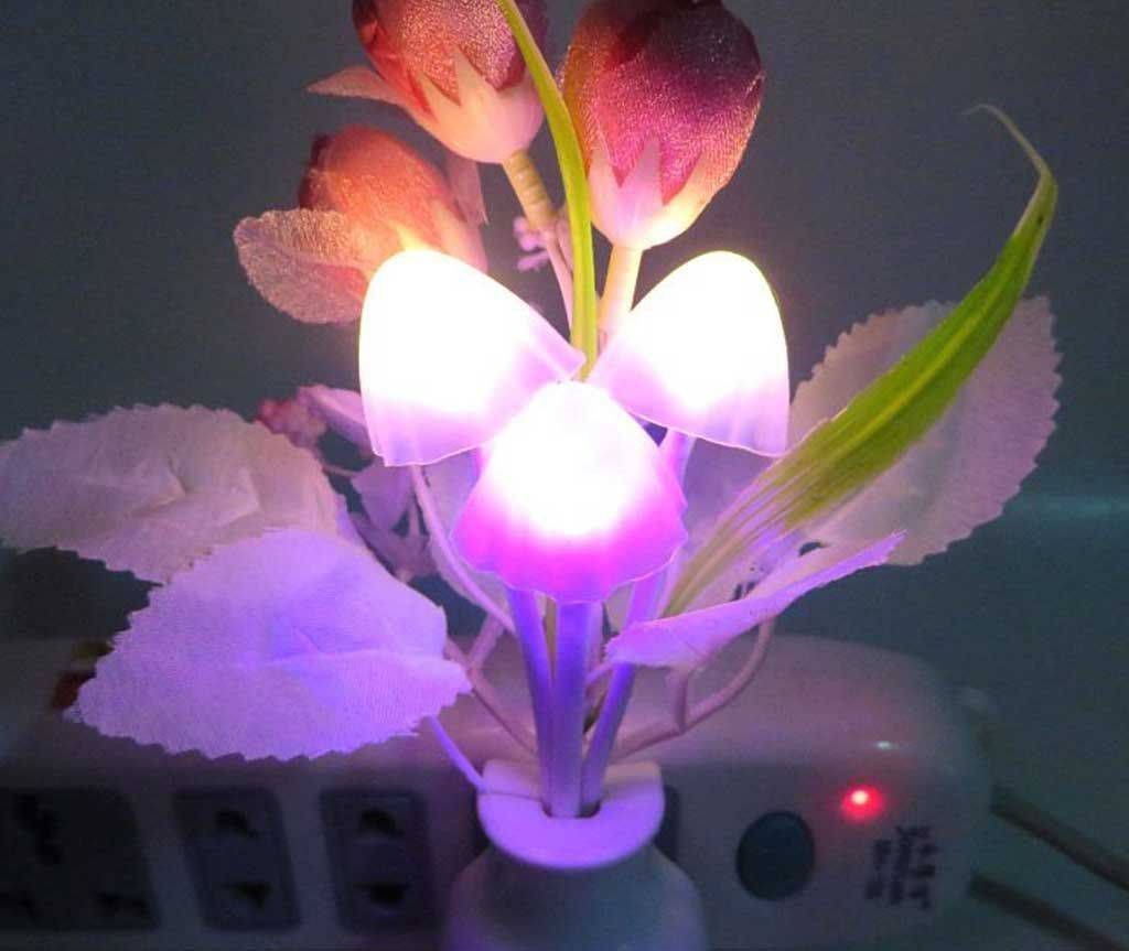 Avatar Magic Lamp