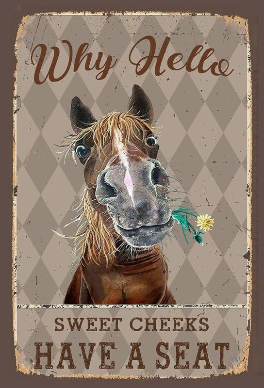 selwa Funny Bathroom Quote Metal Tin Sign Wall Decor - Vintage Hello Sweet Cheeks Horse Tin Sign for Office/Home/Classroom Bathroom Decor Gifts - Best Farmhouse Decor Gift for Women Men Friends Sign  (1)