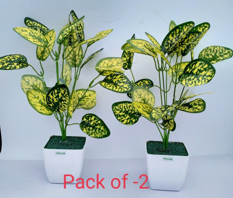 manyas Clasic money plant 1 Bonsai Artificial Plant with Pot  (30 cm, Multicolor)