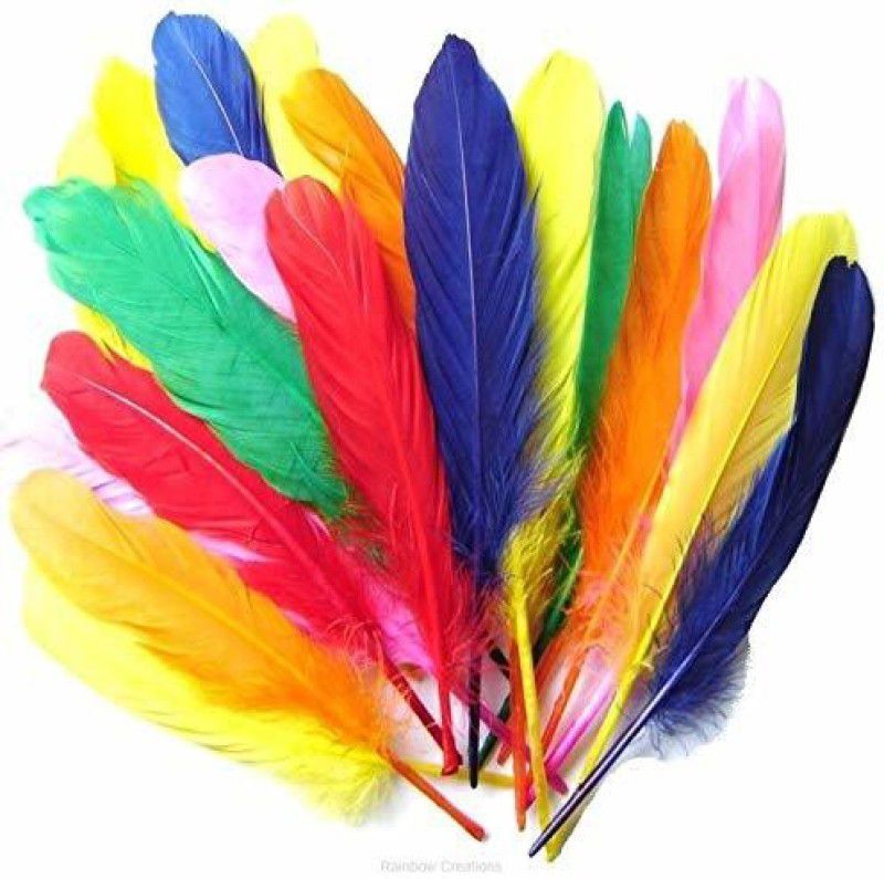 Shiv Zari Centre Pack of 100 Decorative Feathers  (5 Synthetic Material)