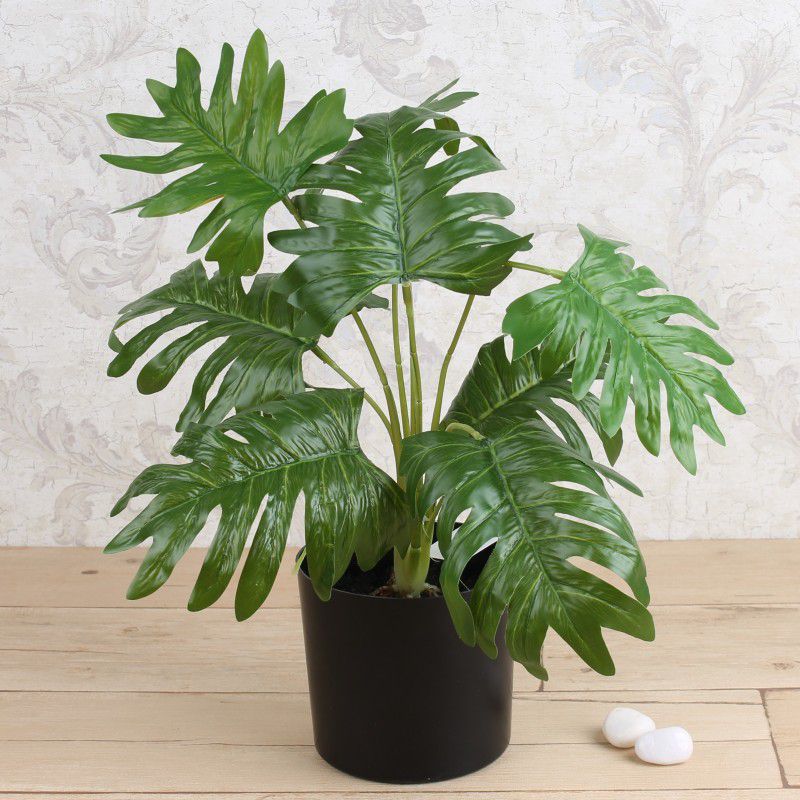 Elemntl Philodendron Artificial Plant with Pot  (50 cm, Green)