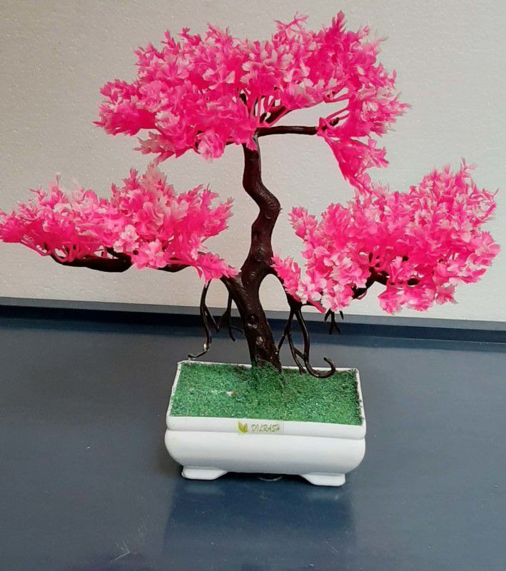 DILRASH pink bonsai plant Bonsai Artificial Plant with Pot  (25 cm, Pink)