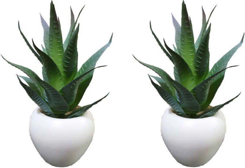 BK Mart Imported Aloevera Plant Bonsai Artificial Plant with Pot  (20 cm, Green)