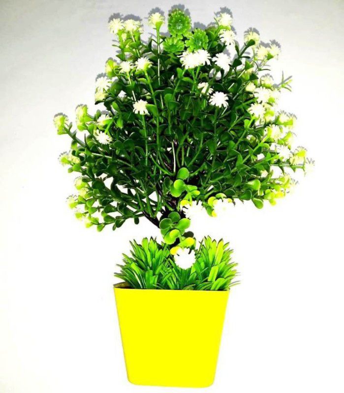 Green Plant indoor GPIbonsai12547 Bonsai Wild Artificial Plant with Pot  (11 cm, Multicolor)
