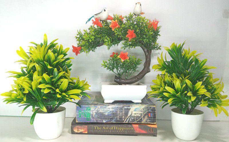 RESILIENCE Home Decoration Artificial Plant combo set Bonsai Wild Artificial Plant with Pot  (20 cm, Multicolor)