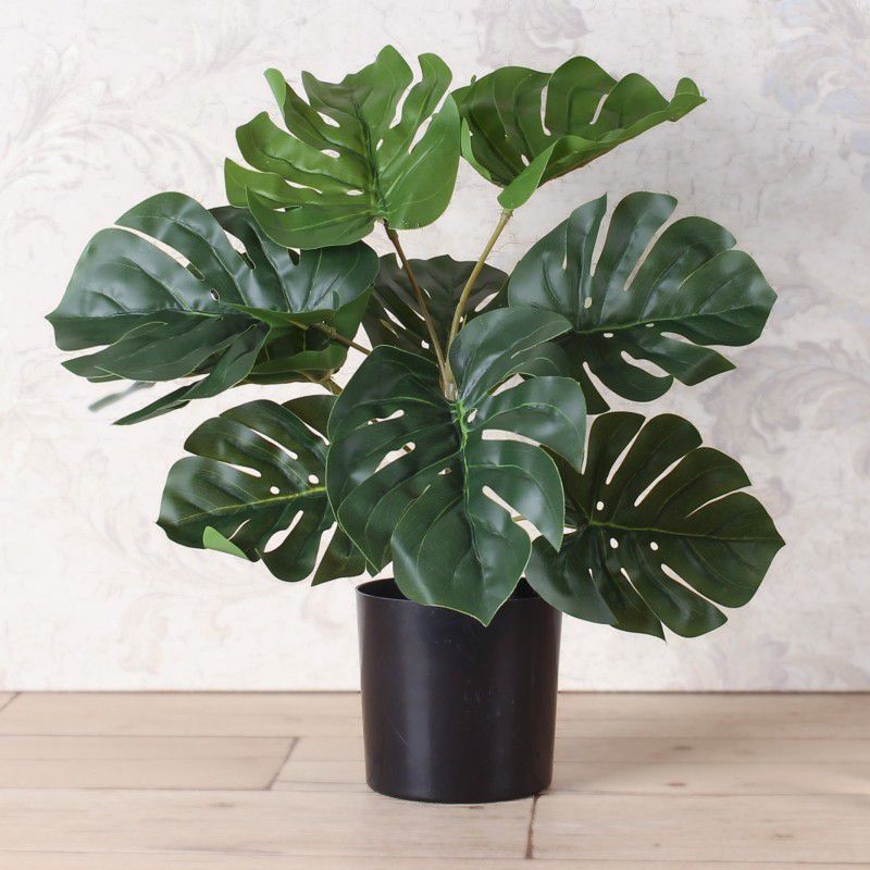 Artificial Plant with Pot  (34 cm, Green, Green)