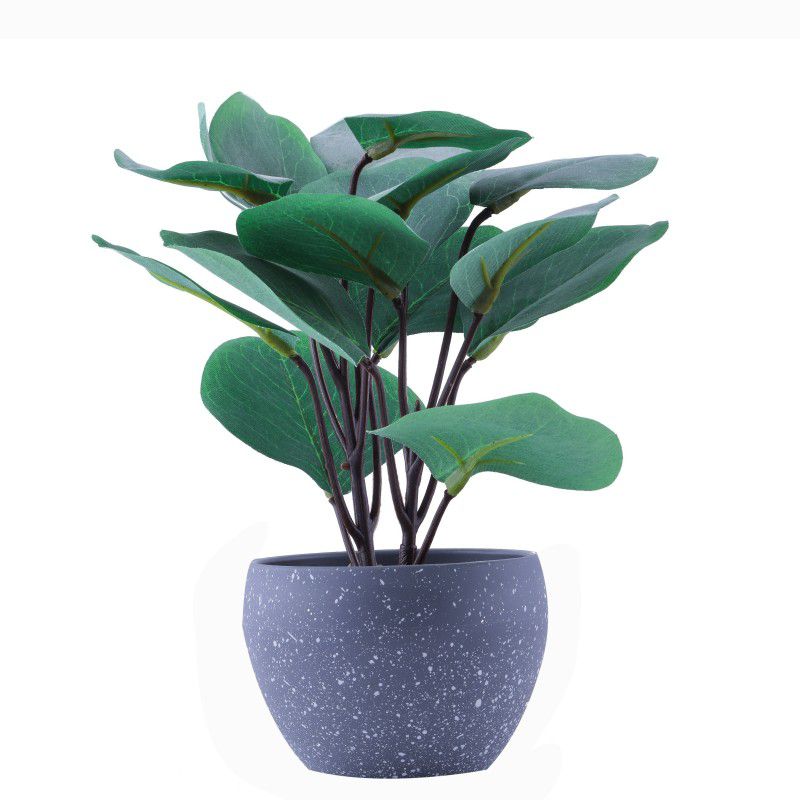 ELITEHOME Stylish Artificial Flower Pot Home Decor Plant For Living Room, Desk, Bedroom Wild Artificial Plant with Pot  (20 cm, Green)