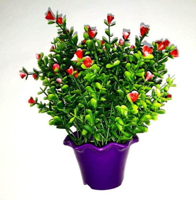 Green Plant indoor Bonsai1526 Bonsai Wild Artificial Plant with Pot  (9 cm, Multicolor)