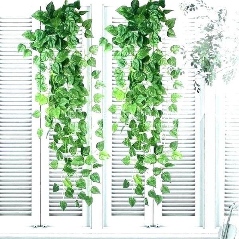 shanol B Office Decoration Artificial Plant with Pot Bonsai Wild Artificial Plant Artificial Plant  (50 cm, Green)
