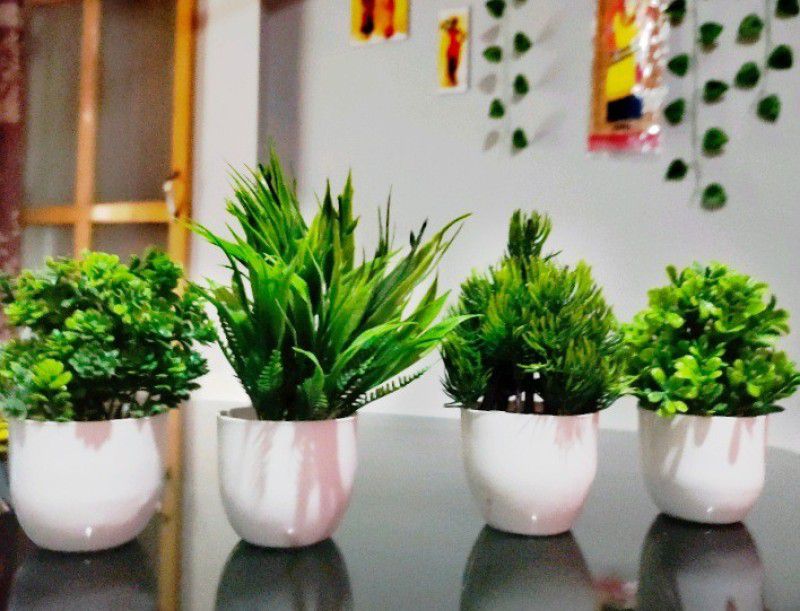 zonezer Artificial plant for home decoration set of 4 small table plant Bonsai Wild Artificial Plant with Pot  (15 cm, Green)