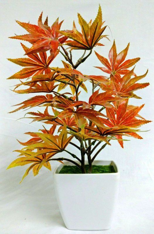 Green Plant indoor ART01051 Bonsai Artificial Plant with Pot  (12 cm, Multicolor)