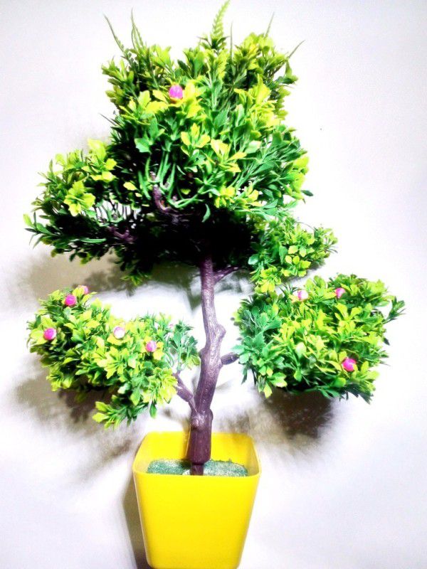 Green Plant indoor GPIART135 Bonsai Wild Artificial Plant with Pot  (10 cm, Multicolor)