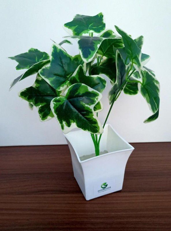 godecor Artificial Plant with Pot  (30 cm, Green)