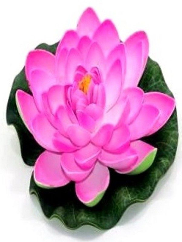Green Plant indoor Lotus1519 Bonsai Wild Artificial Plant  (4 cm, Pink)