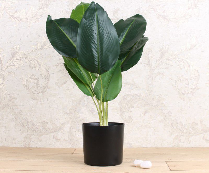 Elemntl Artificial Banana Plant with Plastic Pot for Home Decor | Decoration Items for Living Room | Decorative Table Top Indoor Plants Bonsai for Office Desks & Counters Artificial Plant with Pot  (54 cm, Green)