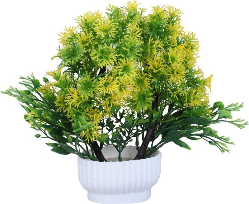 Sehaz Artworks Peacock_Feather-Green-Yellow Bonsai Wild Artificial Plant with Pot  (23 cm, Multicolor)