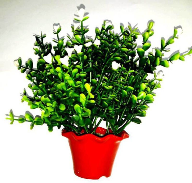 Green Plant indoor Bonsai1525 Bonsai Wild Artificial Plant with Pot  (9 cm, Multicolor)