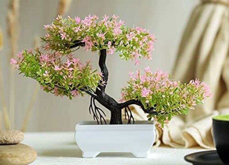 prajna Artificial Bonsai Tree with Designer Pot for Home Decor Bonsai Wild Artificial Plant with Pot  (15 cm, Multicolor)