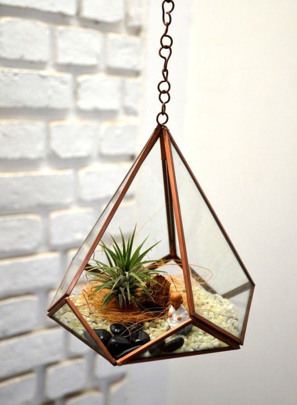 rkindco Haxogonal hanging glass terarrium Artificial Plant with Pot  (15 cm, Gold)