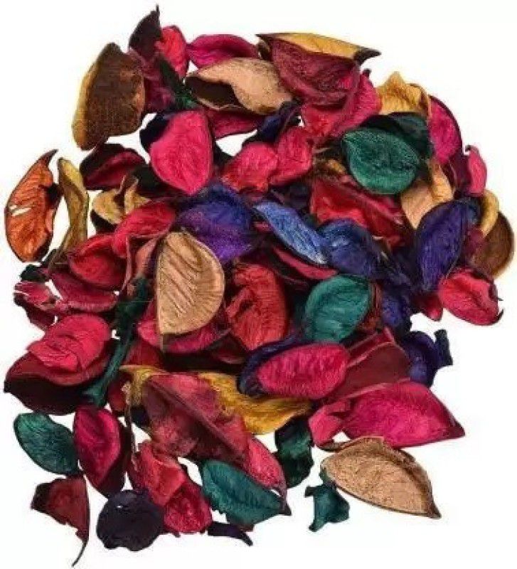 VIJAY TRADERS Dried Leaves Natural Home Decor Multi Color Potpourri Leaves for Table Decor Vase Filler  (Dried Leaves, Potpourri Leaves)