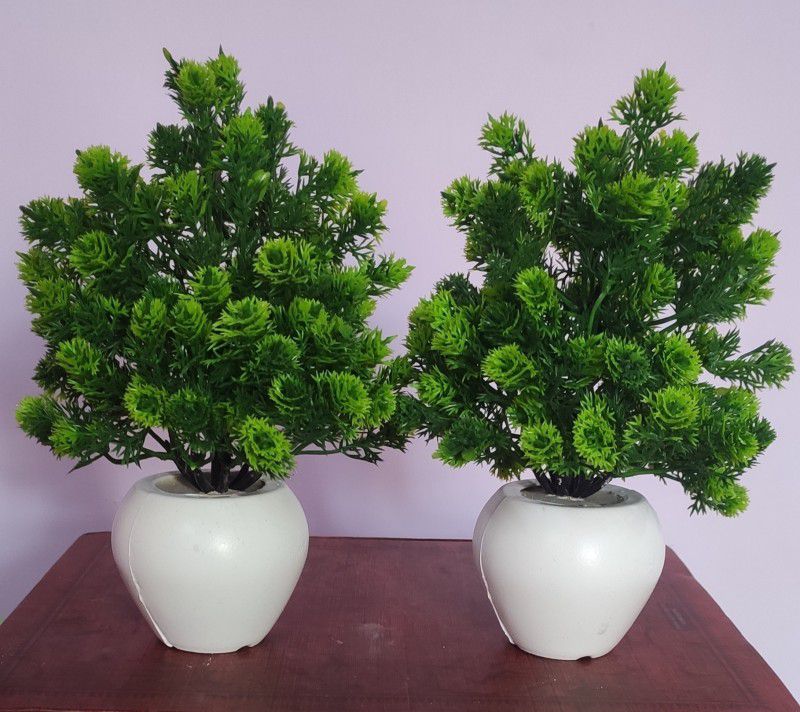 BK Mart Set of 2 Bonsai Table Flower top for home shop office decoration gift. Bonsai Wild Artificial Plant with Pot  (22 cm, Green)