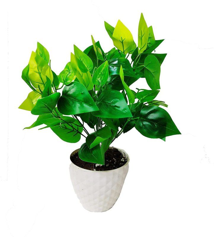 Moneyplant7008 Bonsai Artificial Plant with Pot  (6 cm, Green)
