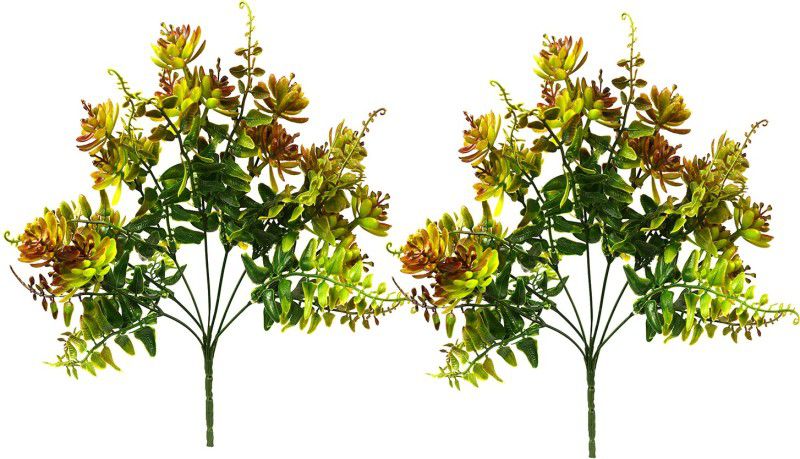 decormasters Pair of Artificial Plant Bunches Cactus plant Artificial Plant  (28 cm, Multicolor)